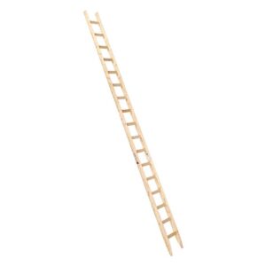 Euroline Holzanlegeleiter Nr. 10102 1x17 günstig kaufen